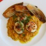 scallopendive4web